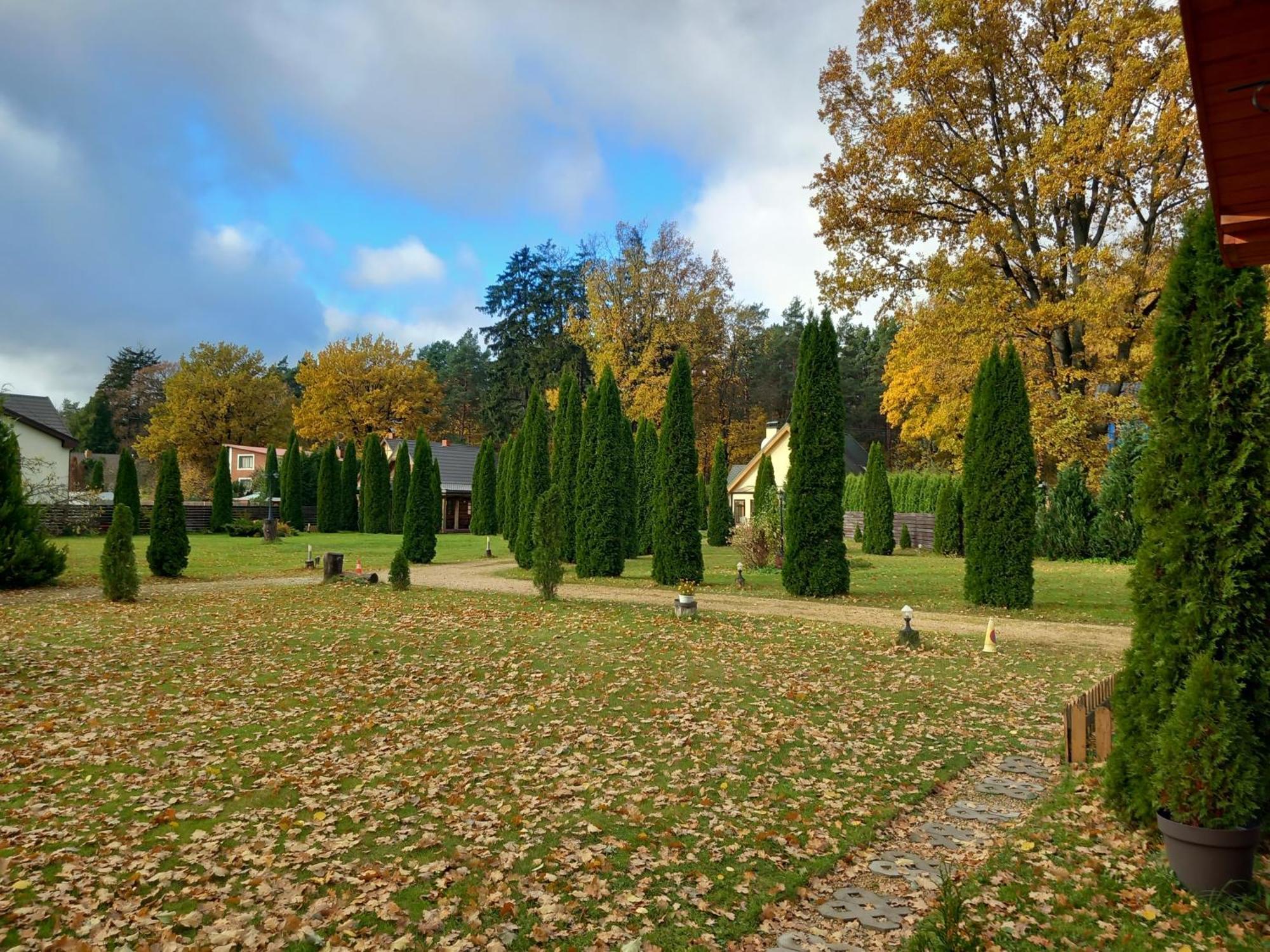 Forest Edge Lodge Riga Rom bilde